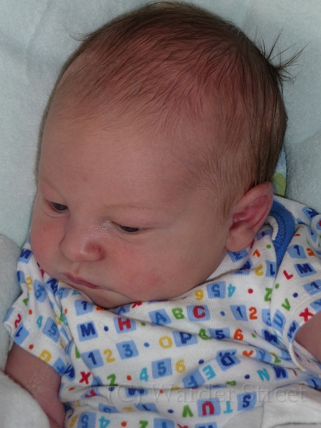 William's First Week 31.jpg